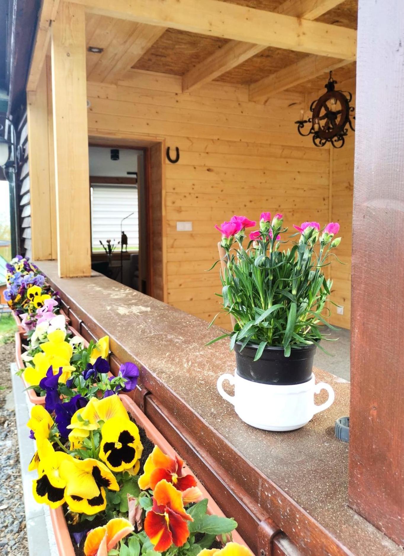 Chybotek Premium Domek Danusia Przesieka Extérieur photo
